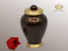 Memento | Gloss Brown & Gold - 06-8403